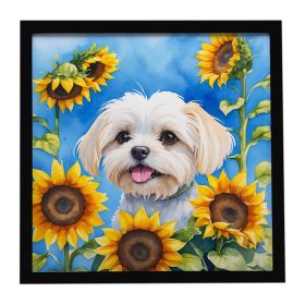 Maltese in Sunflowers Framed Metal Print Bathroom, Kitchen, Office, Home Decor Wall Art Ready to Hang, Square, 8X8